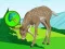 لعبة The Deer Meadow Escape على الانترنت