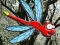 لعبة Escape From Dragonfly Forest على الانترنت