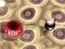 لعبة Bouncing Blob على الانترنت
