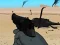 لعبة Weapon على الانترنت