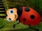 لعبة Rescue The Couple Bug على الانترنت