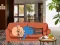 لعبة Wakeup The Grandpa على الانترنت
