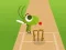 لعبة Doodle Cricket على الانترنت