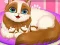 لعبة Cute Kitty Pregnant على الانترنت