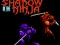 لعبة Shadow of the Ninja على الانترنت