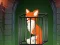 لعبة Fox in the Forgotten Ruins على الانترنت