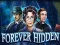 لعبة Forever Hidden على الانترنت