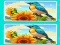 لعبة Spot the Difference The Garden على الانترنت