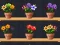 لعبة Good Flower Master على الانترنت