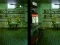 لعبة Robot Bar Spot the differences على الانترنت