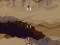 لعبة Mars Invasion على الانترنت