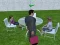 لعبة Millionaire Simulator 2024 على الانترنت