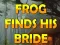 لعبة Frog Finds His Bride على الانترنت