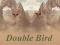 لعبة Double Bird على الانترنت