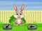 لعبة Springtime Escape على الانترنت