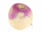 لعبة Turnip على الانترنت