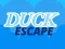 لعبة Duck Escape على الانترنت