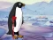 لعبة Heal the Wounded Penguin على الانترنت