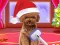 لعبة Christmas ASMR Makerover Salon على الانترنت