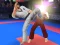 لعبة Karate Fighter على الانترنت