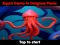 لعبة Squid Game In Dalgona Panic على الانترنت