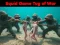 لعبة Squid Game Tug Of War على الانترنت