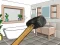 لعبة Smash The Room To Pieces على الانترنت