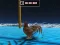 لعبة Animal Impossible Track Rush على الانترنت