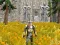 لعبة Axe Of The Ancients Dwarven Fury على الانترنت