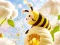 لعبة Find The Differences: Little Bee's Adventure على الانترنت