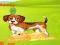 لعبة Bunny Key Quest على الانترنت
