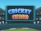 لعبة Cricket Craze على الانترنت