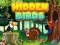 لعبة Hidden Birds على الانترنت