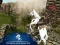 لعبة Ertugrul Gazi Horse Sim على الانترنت