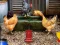 لعبة Poultry Farm Easter Escape على الانترنت