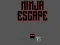 لعبة Ninja escape على الانترنت