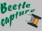 لعبة Beetle Capture على الانترنت