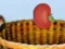 لعبة Harvesting على الانترنت