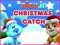 لعبة Nick Jr. Christmas Catch على الانترنت
