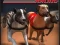 لعبة Greyhound Racing على الانترنت