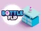 لعبة Bottle Flip على الانترنت