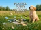 لعبة Playful Puppy Outdoor Puzzle على الانترنت