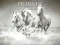 لعبة Horses Puzzle على الانترنت