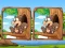 لعبة Jungle 5 Diffs على الانترنت