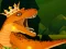 لعبة The Dino King على الانترنت