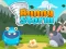 لعبة Bunny Storm على الانترنت