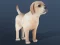 لعبة IDLE Pet على الانترنت