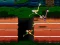 لعبة Big Birds Racing على الانترنت