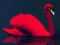 لعبة Love Birds Puzzle على الانترنت