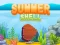 لعبة Summer Shell على الانترنت